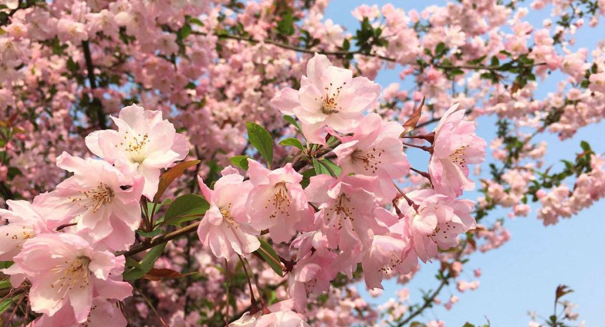 伟德bv1946官网风景