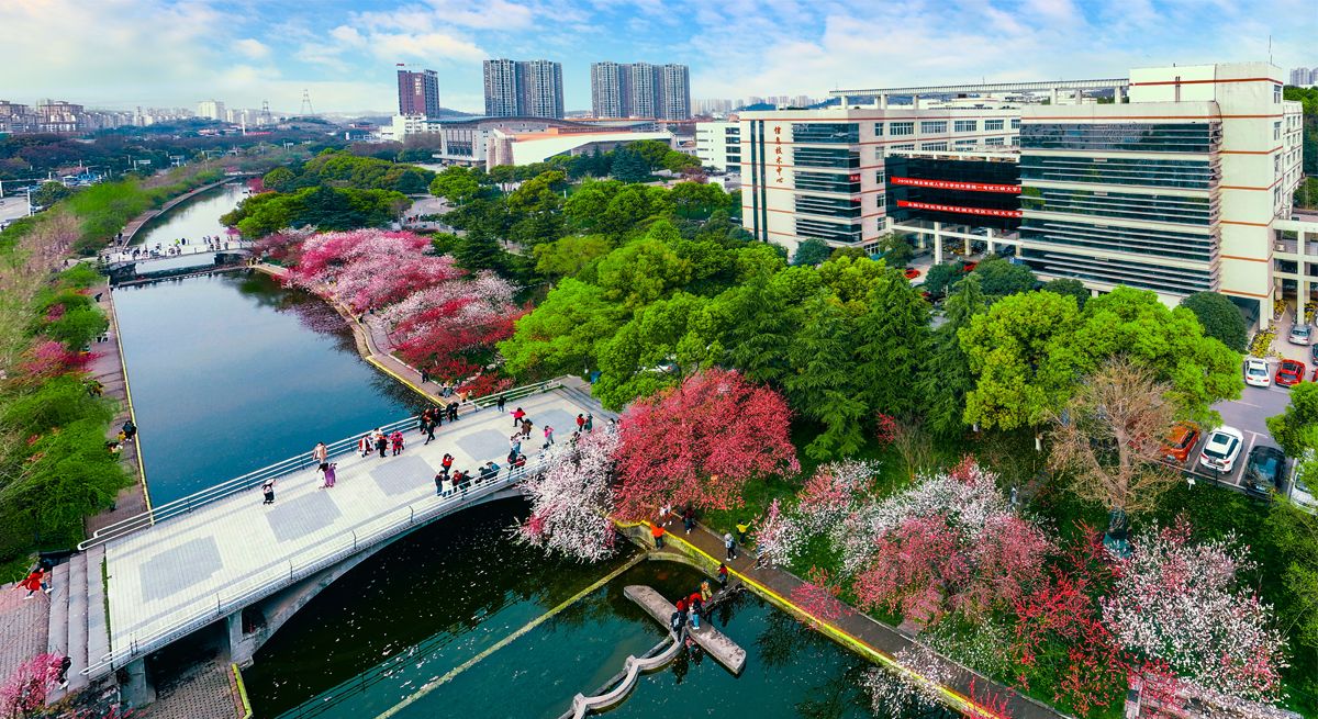 “趣享运动 携手迎新”伟德bv1946官网机关工会趣味运动会圆满落幕