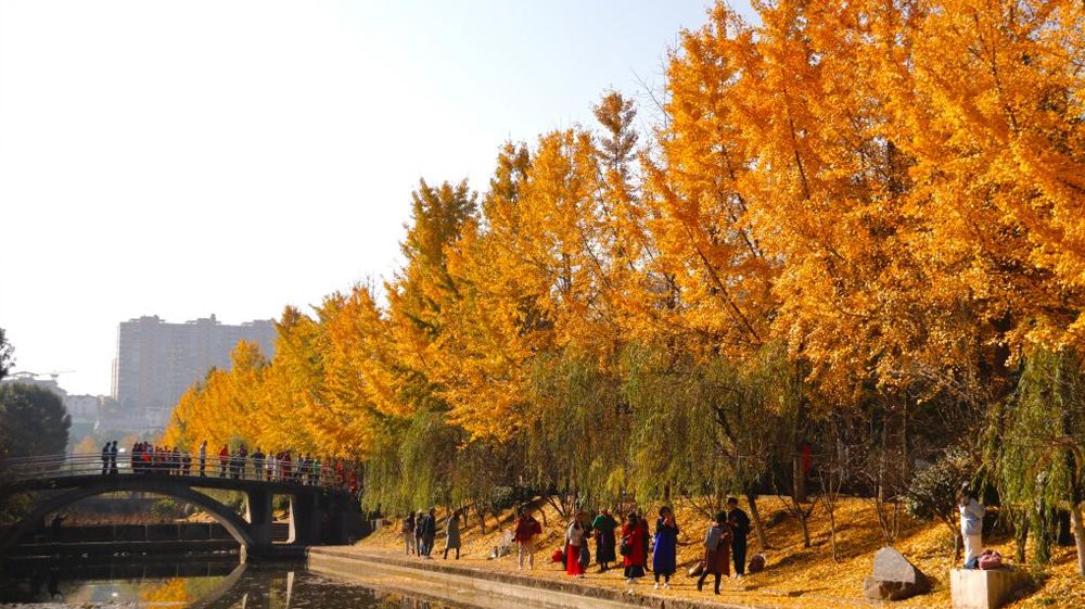 伟德bv1946官网风景