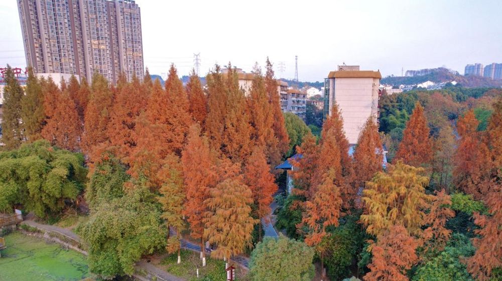 伟德bv1946官网风景