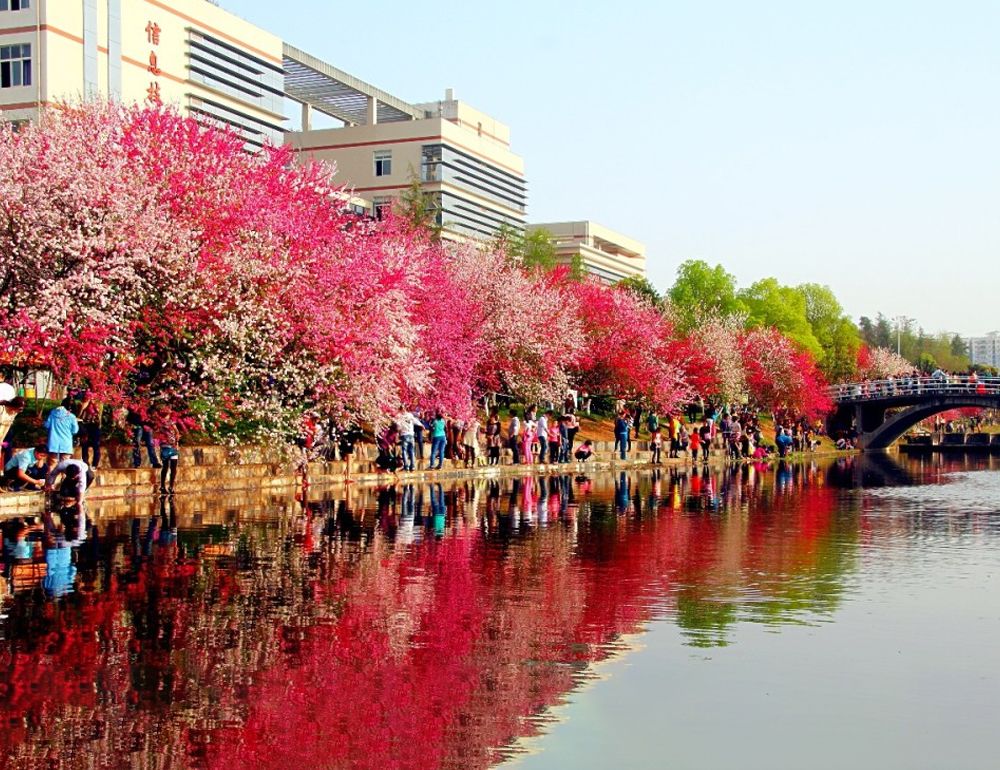 伟德bv1946官网风景