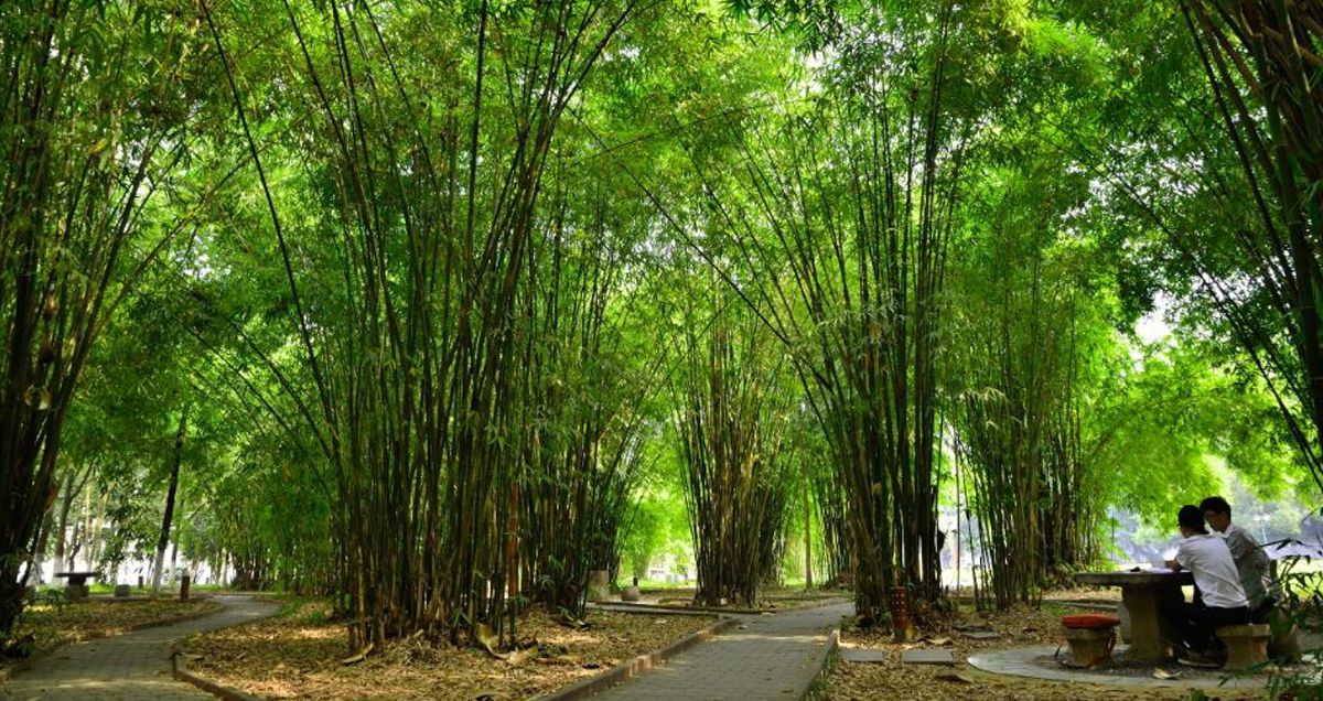 伟德bv1946官网风景